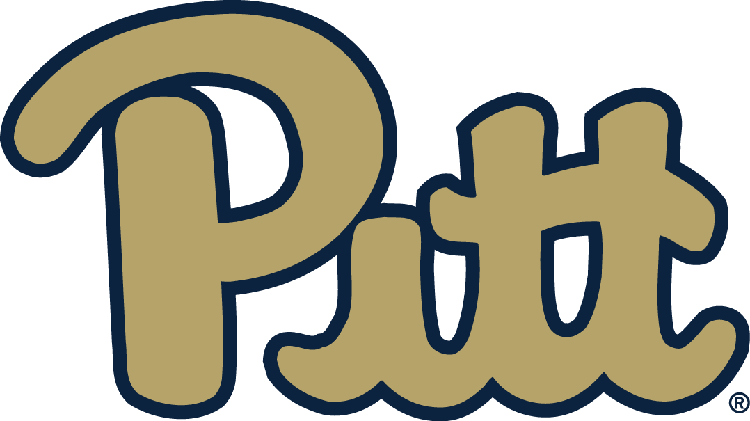 Pittsburgh Panthers 2016-2018 Alternate Logo diy DTF decal sticker